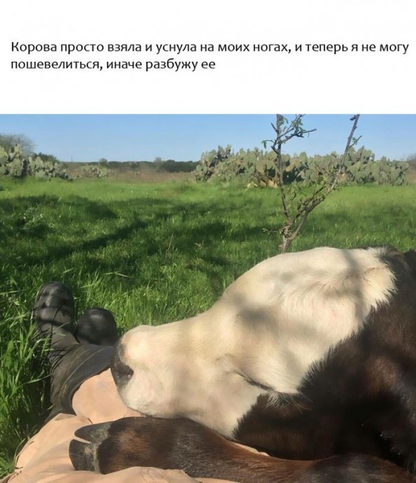 Счастливчики