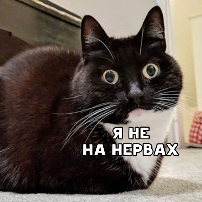 Коротко о нервах