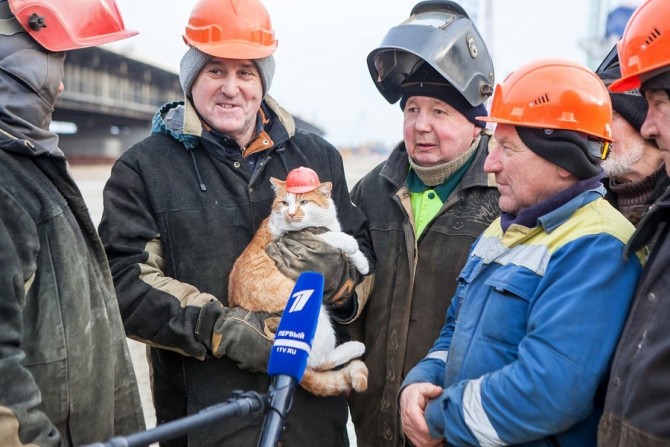 Когда фотоаппарат под рукой