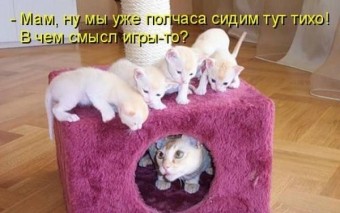 Ну и приколисты