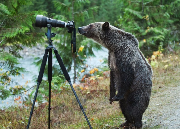 А потом говоришь своему другу: "А теперь меня сфоткай"