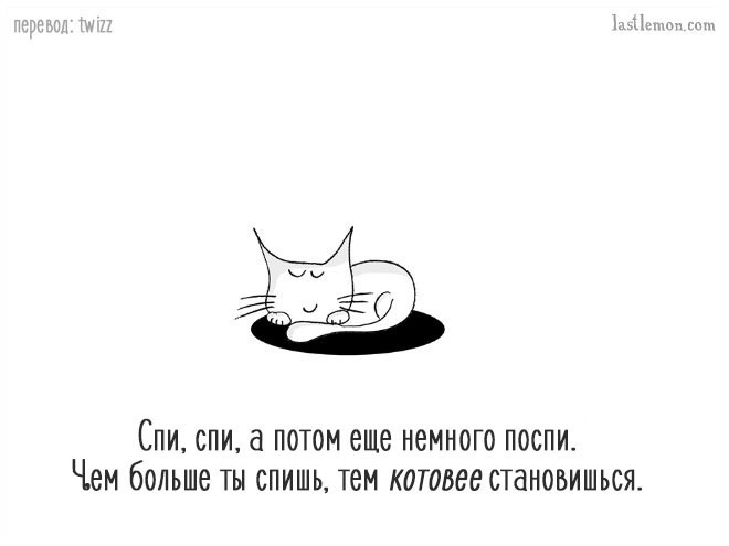 Уморительные советы, которые расскажут вам, как стать продвинутым котом Уморительные советы, которые расскажут вам, как стать продвинутым котом