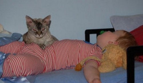 У кошек с маленькими детьми — особенные отношения, понятные только им самим.