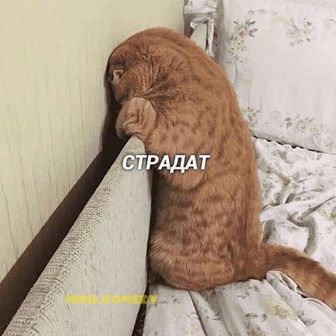 Каждый узнает себя