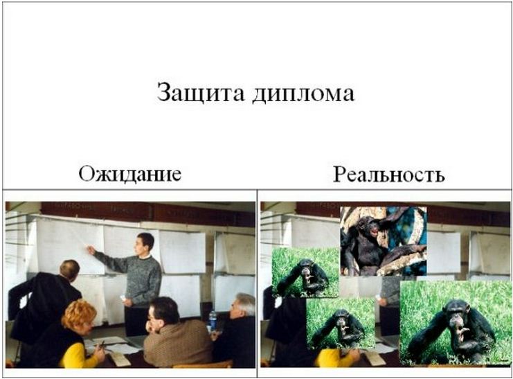 Принцесса, картинки защита диплома смешные