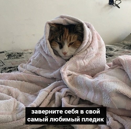 Полезные советы