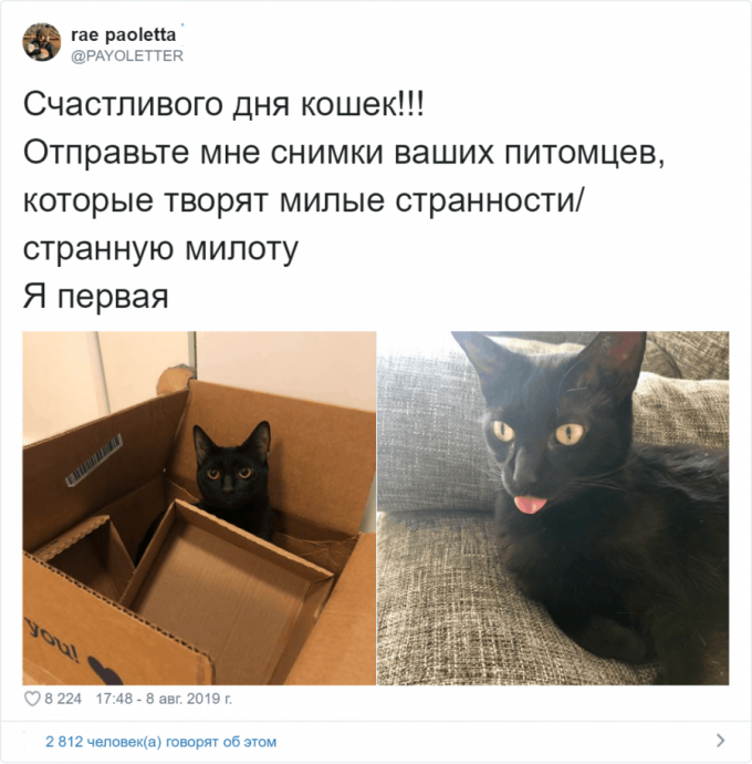 Странность их вторая натура