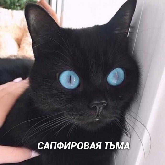 Виды тьмы