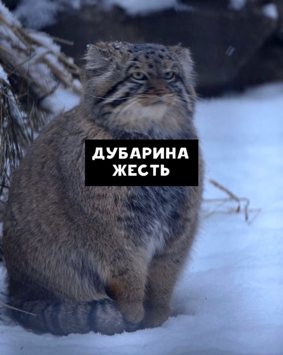 Итак всегда