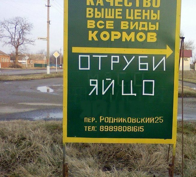 Неожиданные особенности деревенской жизни