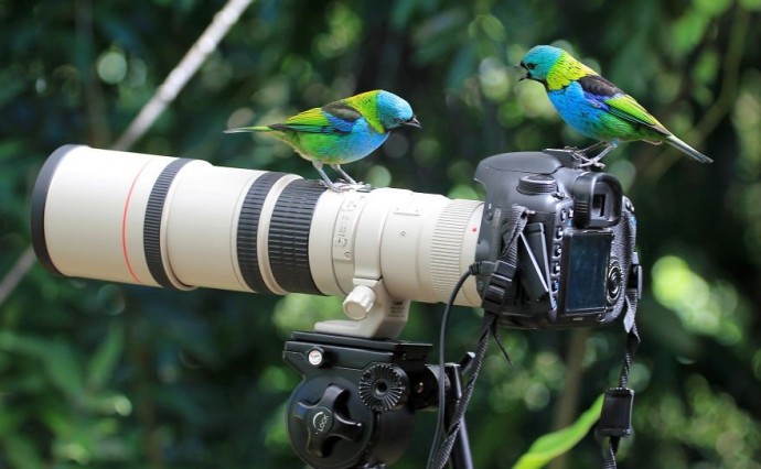 Тут без второй фотокамеры точно не обойтись.