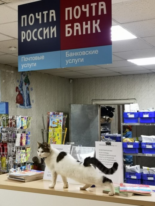 Почта России знает как делать рекламу