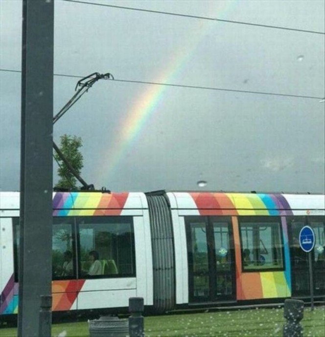 Главное в фотографии - поймать правильный момент