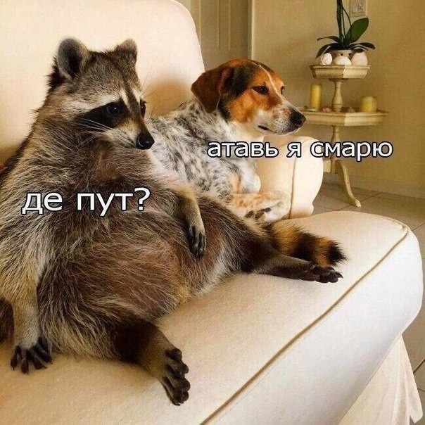 Отношения такие отношения