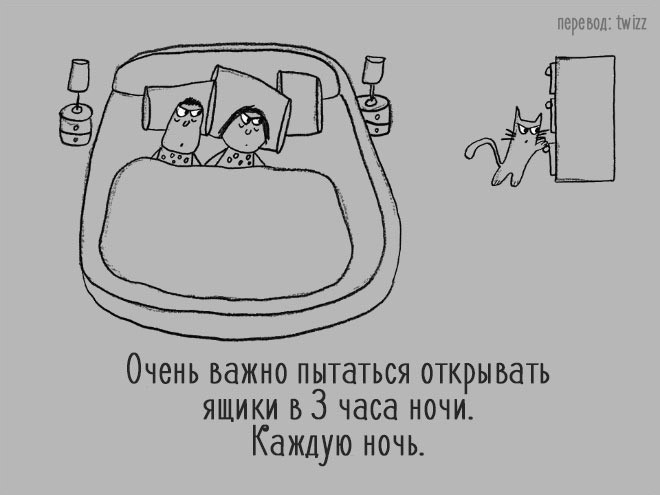 Уморительные советы, которые расскажут вам, как стать продвинутым котом Уморительные советы, которые расскажут вам, как стать продвинутым котом