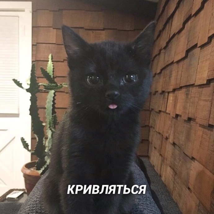 Это те 8 дел, которые я лучше всего делаю и у меня получается ИДЕАЛЬНО! Это те 8 дел, которые я лучше всего делаю и у меня получается ИДЕАЛЬНО!