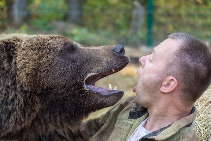 Медвежонок Мансур настоящий смотритель аэродрома