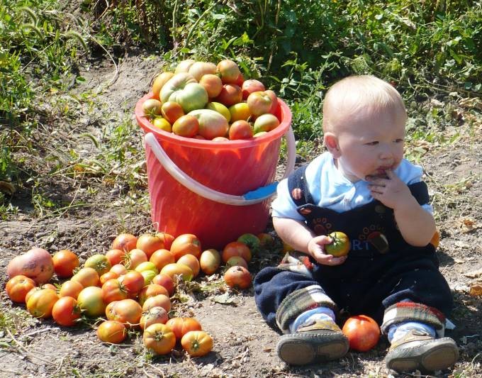 Не отходя от грядки, всё будет в порядке!