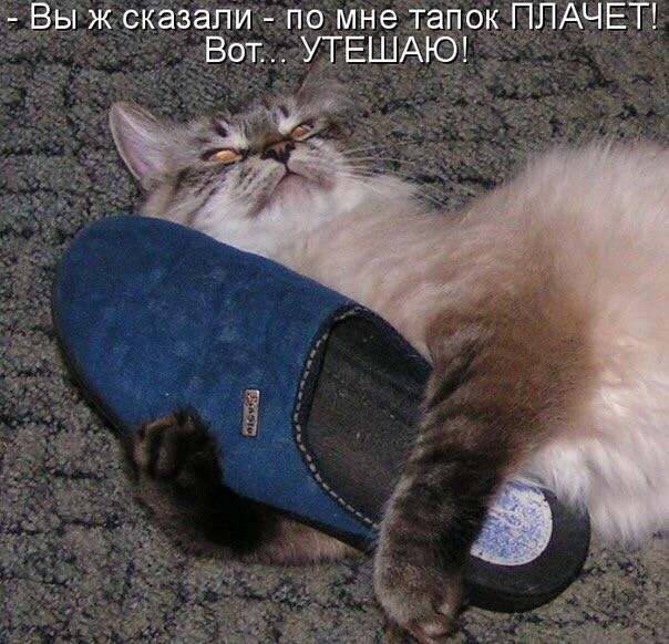 — Посмотрим, кто кого! А то ишь нашла моду, тапком пугать!