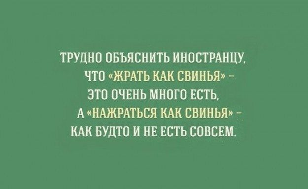 Руcский язык — язык парадоксов