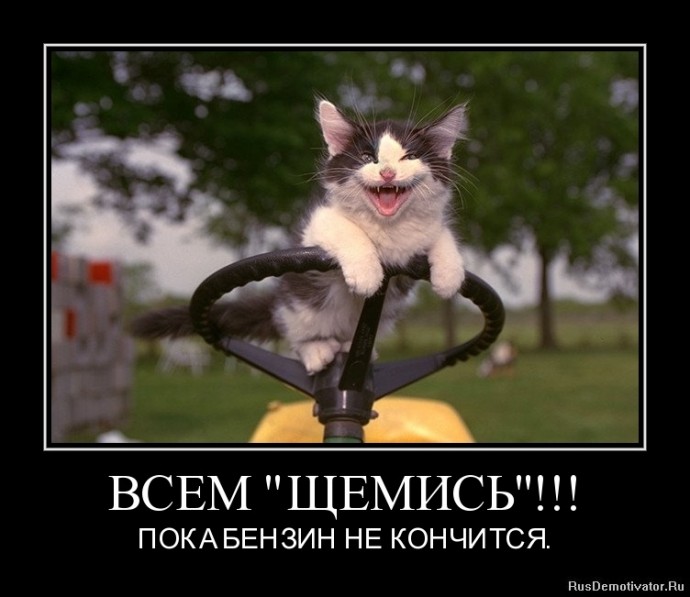 Демотиваторы про животных