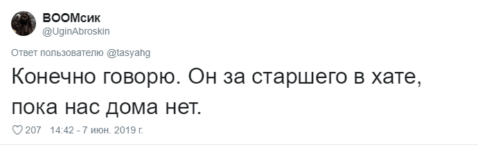 Что говорят своим питомцам перед уходом из дома