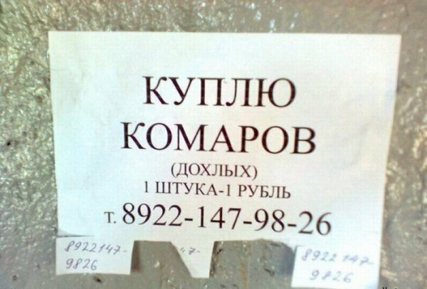 Объявления, которые можно увидеть только на рынках