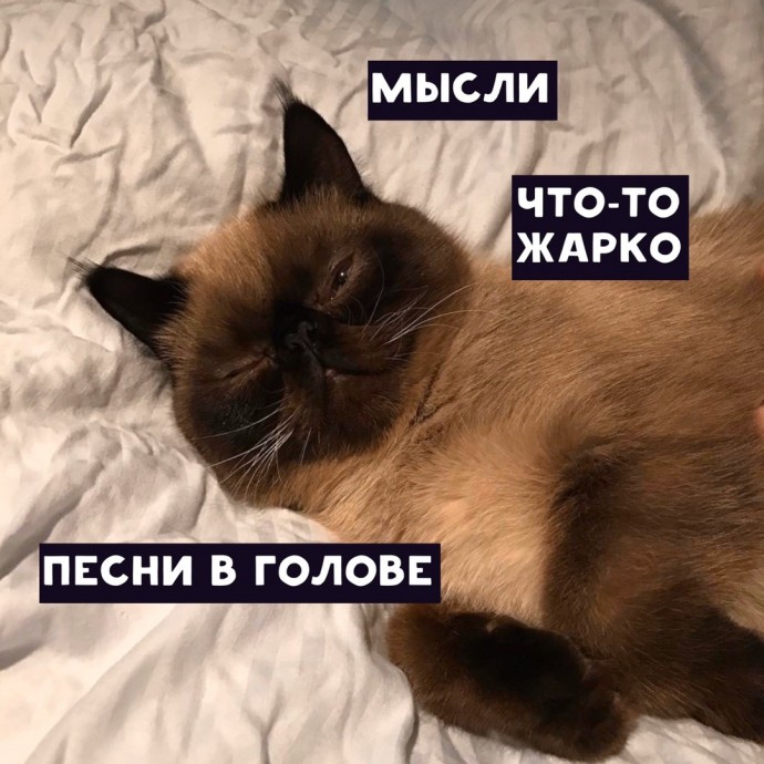 Коротко о попытках нормально поспать