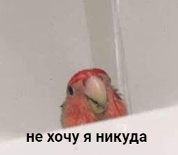 Каждое утро перед работой