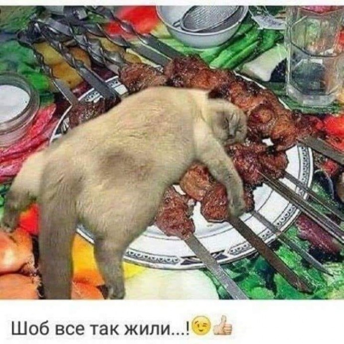 Коты с нечистыми намерениями