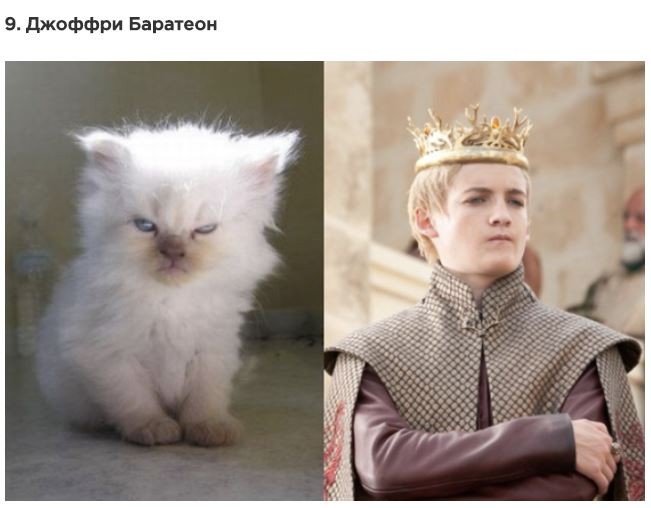 Эти животные страшно похожи на персонажей из Игры Престолов)