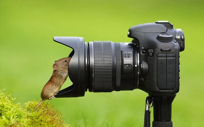 А потом говоришь своему другу: "А теперь меня сфоткай"