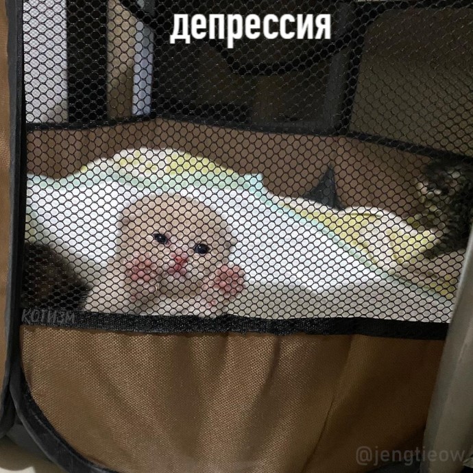 Пять стадий принятия проблемы: