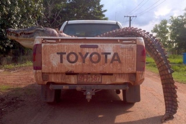 Добро пожаловать в Австралию