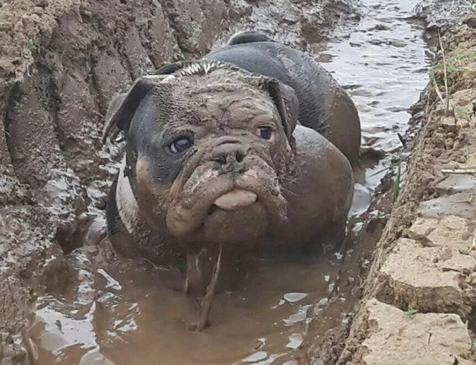 Когда наступила весна