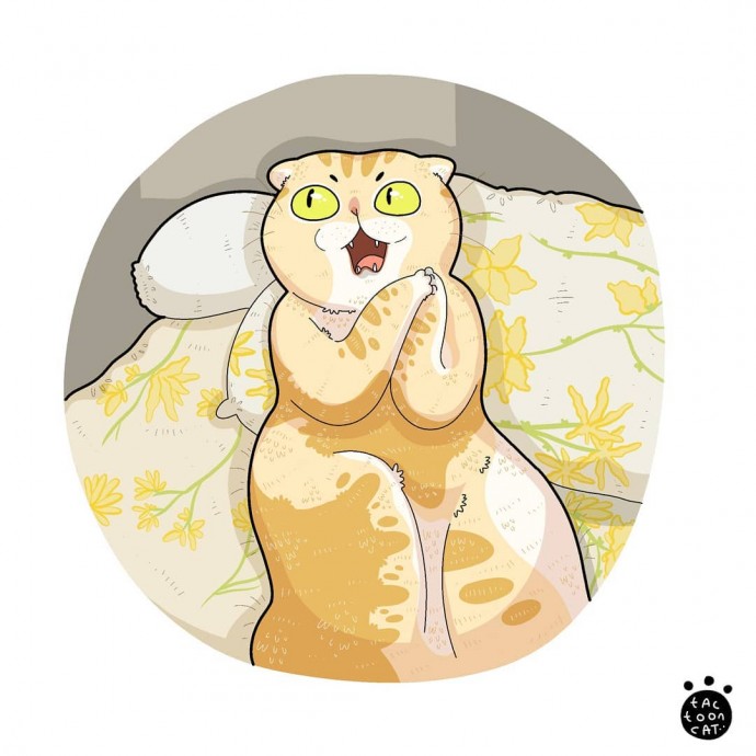 Мемные коты в рисунках