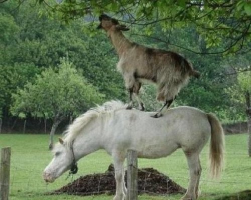 Когда помощь приходит, откуда не ждали