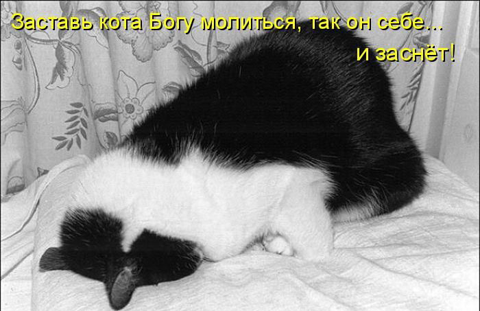 ����������� ��� 4