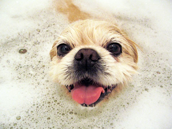 Когда очень любишь подолгу принимать ванну!