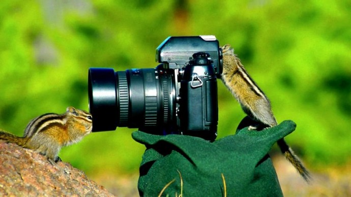 Тут без второй фотокамеры точно не обойтись.