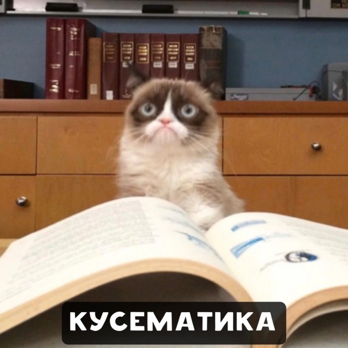 Подразделы котологии