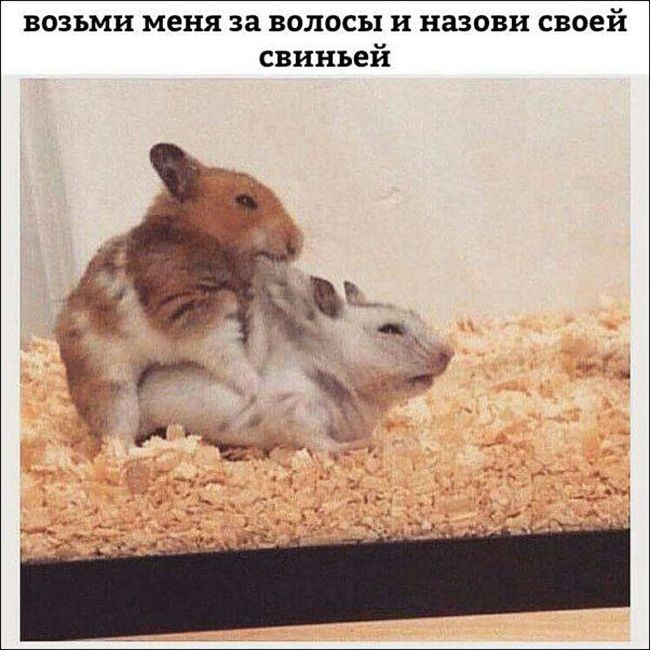 Угарные фотоприколы