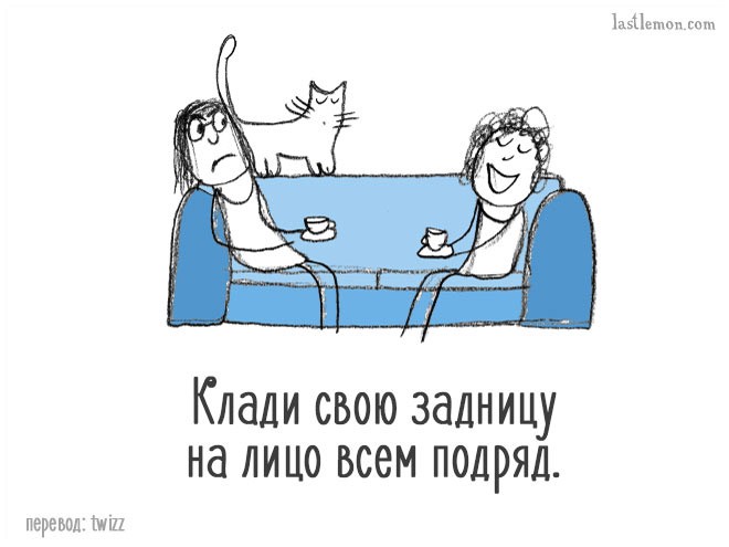 Уморительные советы, которые расскажут вам, как стать продвинутым котом Уморительные советы, которые расскажут вам, как стать продвинутым котом