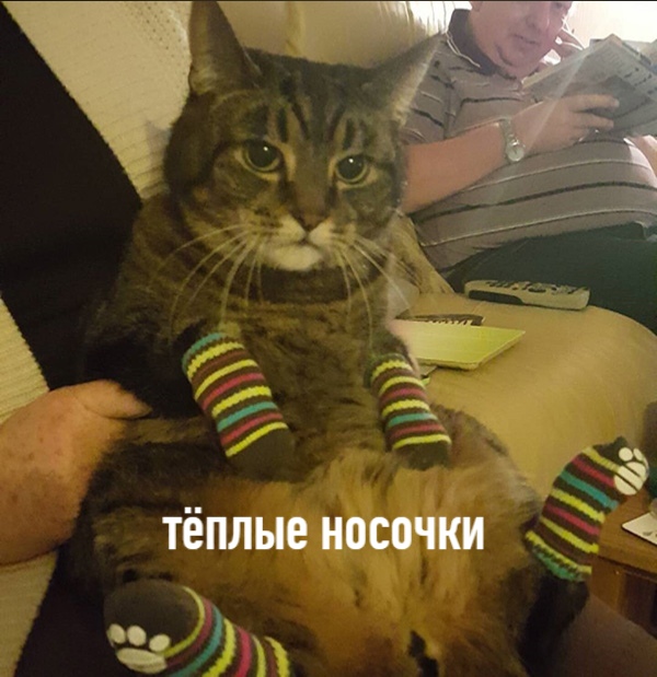 Декабрь - это