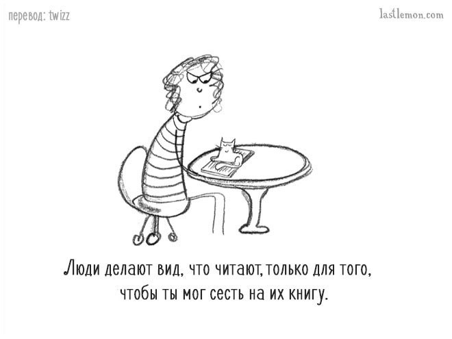 Уморительные советы, которые расскажут вам, как стать продвинутым котом Уморительные советы, которые расскажут вам, как стать продвинутым котом