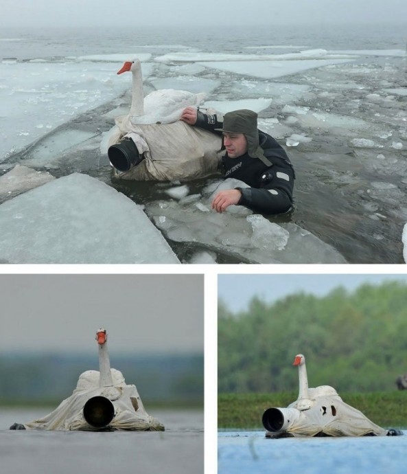 Быть фотографом дикой природы очень весело!