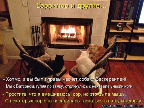 Котоматрица