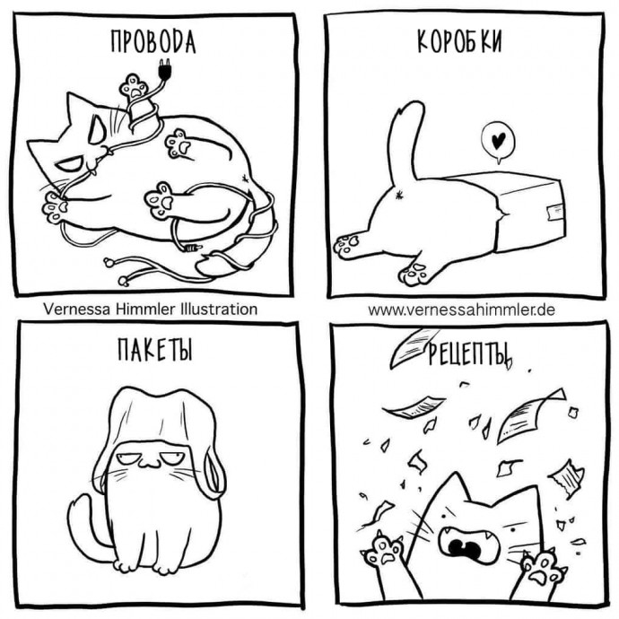 Жизнь с котом