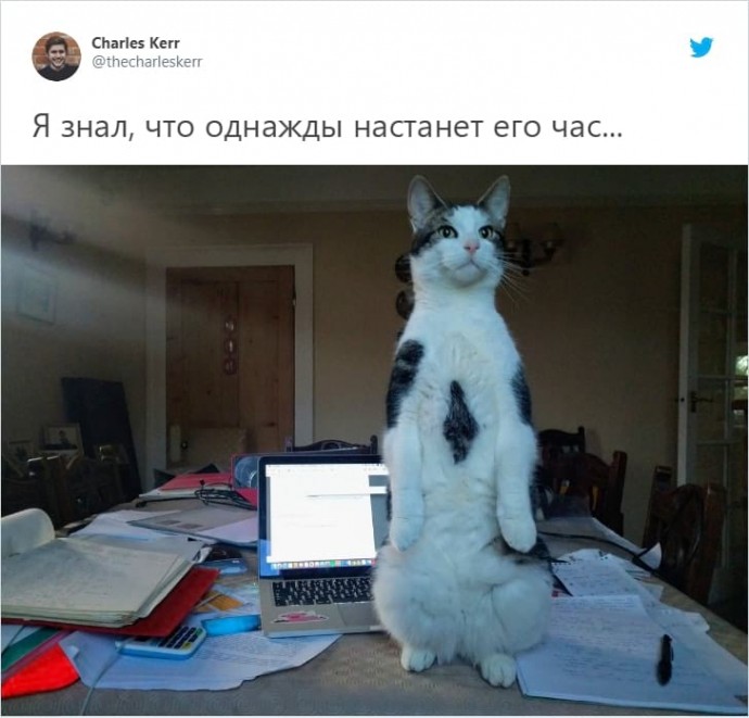 Челлендж неудачных фоток