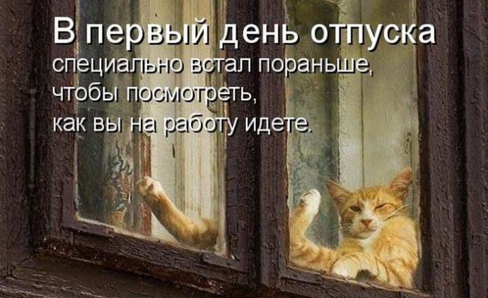 Котоматрицы